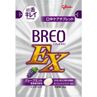 BREO-EX グレープミント 展開図